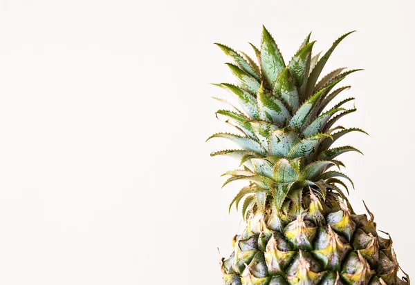Vrchol čerstvého ananasu na bílém pozadí — Stock fotografie