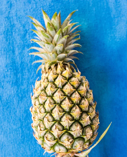 Vrchol čerstvého ananasu na modrém pozadí — Stock fotografie