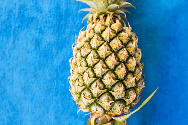 Vrchol čerstvého ananasu na modrém pozadí — Stock fotografie