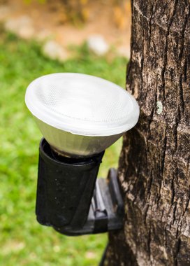 Güneş enerjili bahçe lambası