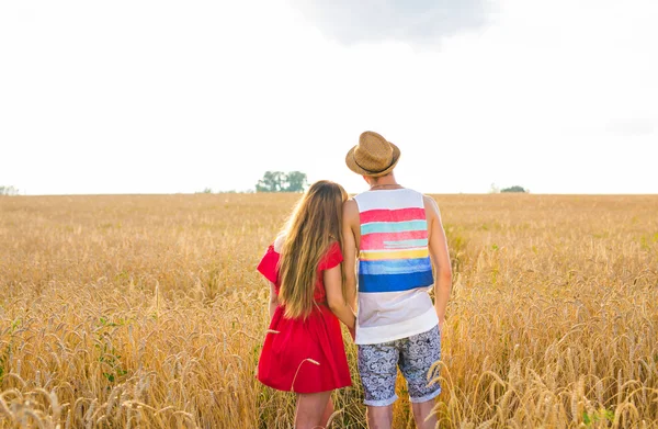 Bakifrån av ungt par i fältet vete. Sommar eller höst, kopiera utrymme — Stockfoto