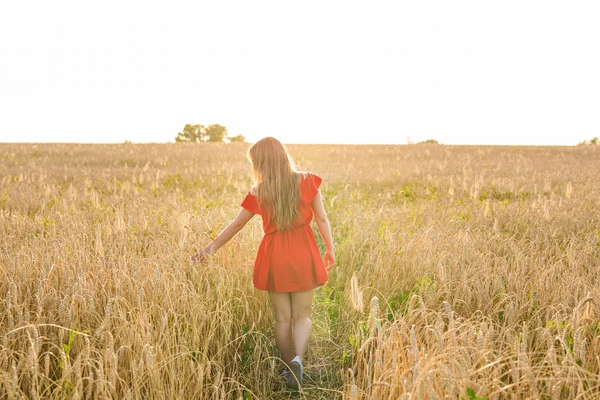 Felicidad, naturaleza, verano, otoño, vacaciones y el concepto de la gente - mujer joven en el campo desde atrás — Foto de Stock
