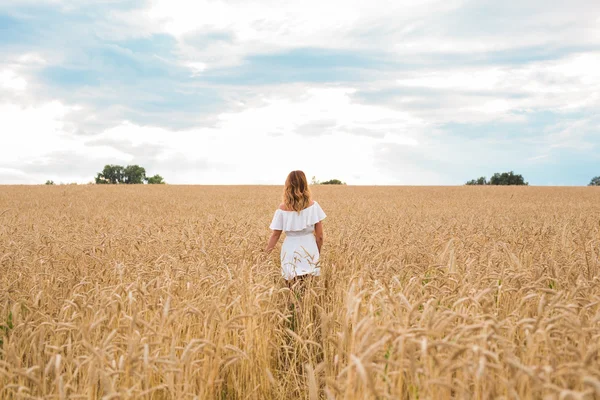 Mujer caminando en el concepto de trigo sobre la naturaleza, la agricultura y las personas . —  Fotos de Stock
