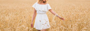 Altın çavdar dokunmadan bir kadının el yakın çekim