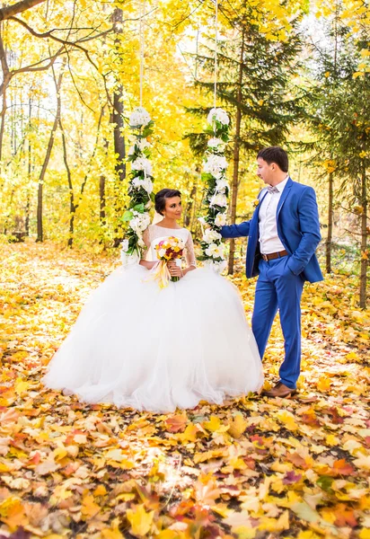 Novia y novio en otoño naturaleza —  Fotos de Stock