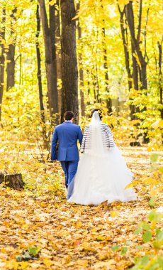Gelin ve damat sonbahar doğada yürüyüş