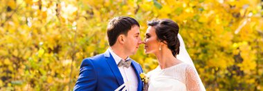 Gelin ve damat sonbahar doğada