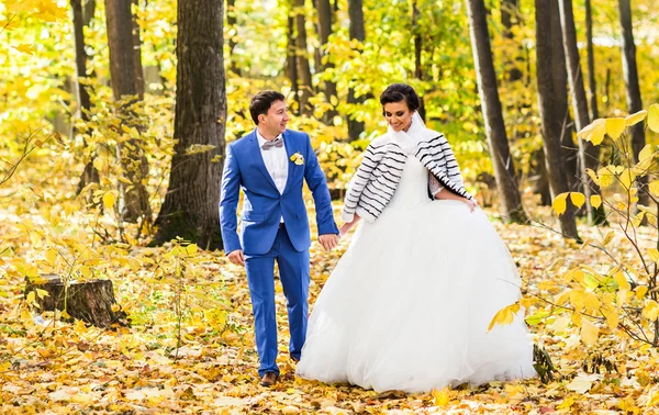 Bride and Groom walking in autumn nature — Stock Photo, Image