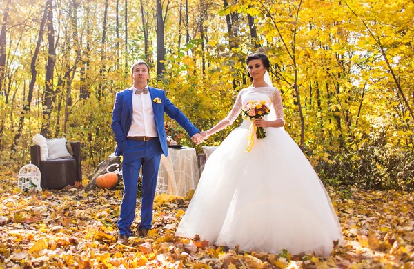 Noiva e noivo na natureza outono — Fotografia de Stock