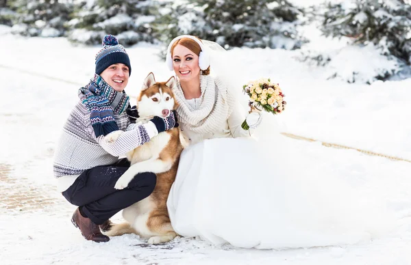 Sposa e sposo matrimonio con cane inverno all'aperto . — Foto Stock