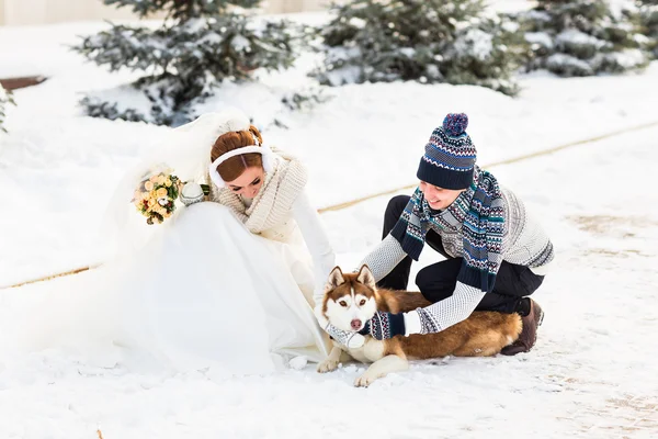 冬の犬と一緒に新郎新婦 — ストック写真