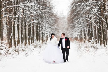 Mutlu gelin ve damat kış düğün günü içinde