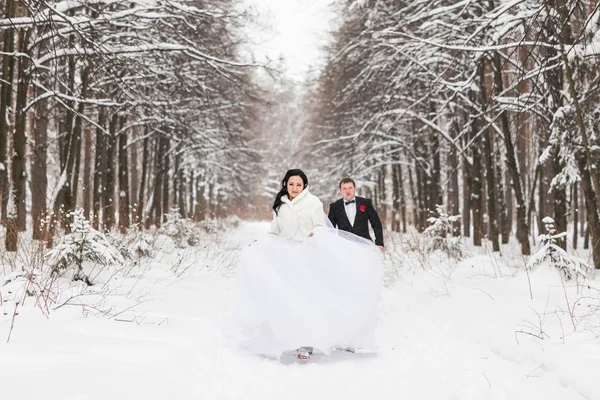 Sposa e sposo nei boschi invernali — Foto Stock