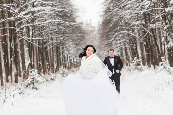 Bruid en bruidegom in de winter bos — Stockfoto