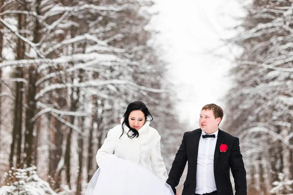 Noiva e noivo nas florestas de inverno — Fotografia de Stock