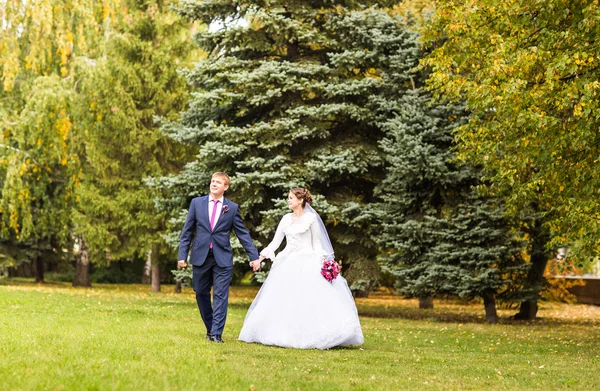 Noiva e noivo caminhando na floresta de outono — Fotografia de Stock