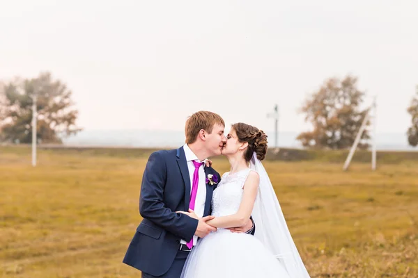 Молодые в осенней природе, жених целует свою невесту — стоковое фото