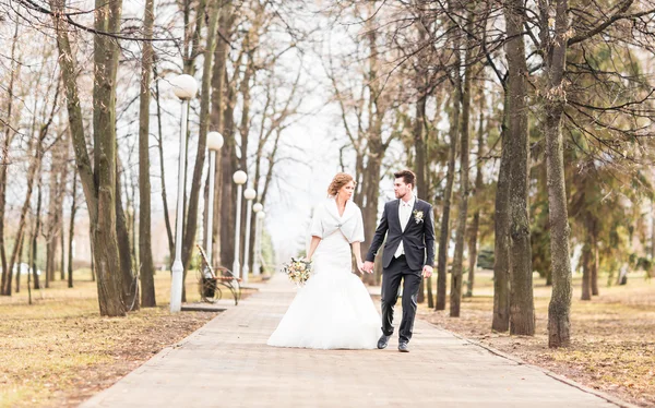 Heureux marié et mariée marche dans le parc d'automne — Photo