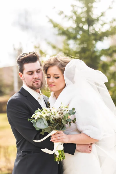 Recién casados en el parque de otoño, el novio abrazando a su novia . — Foto de Stock