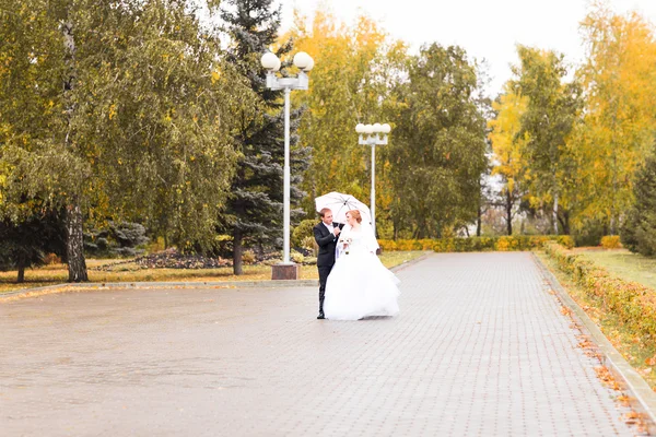 Wedding day bride and groom walking in the autumn park — Stock Photo, Image