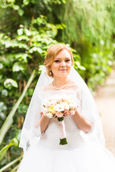 Flores do casamento noiva, Mulher segurando buquê — Fotografia de Stock