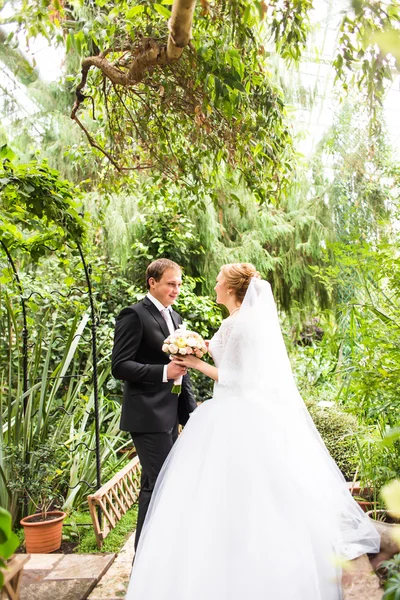 Mariée et fiancée s'amusent dans une jungle tropicale sous le palmier. Concept de mariage . — Photo