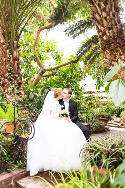 Sposo e sposa si divertono in una giungla tropicale sotto la palma. Concetto matrimonio . — Foto Stock