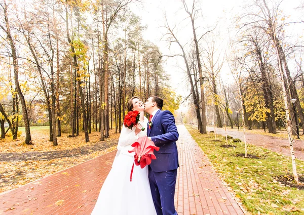 Schönes Hochzeitspaar küsst sich im Regen — Stockfoto