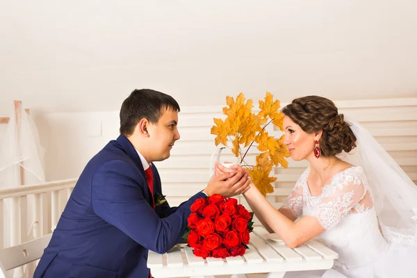 Novia y novio — Foto de Stock