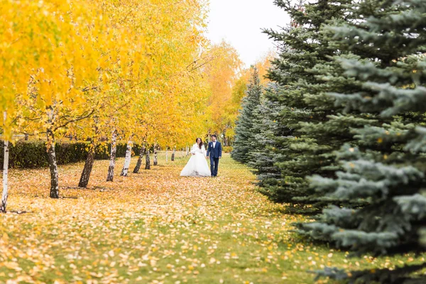 Γαμπρός και νύφη στο πάρκο φθινόπωρο. — Φωτογραφία Αρχείου