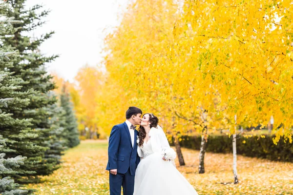 Mariée et fiancée dans le parc d'automne . — Photo