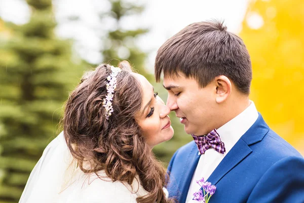 Αισθησιακά όμορφη νεαρή νύφη και όμορφος groom στο Φθινοπωρινό πάρκο γκρο πλαν — Φωτογραφία Αρχείου