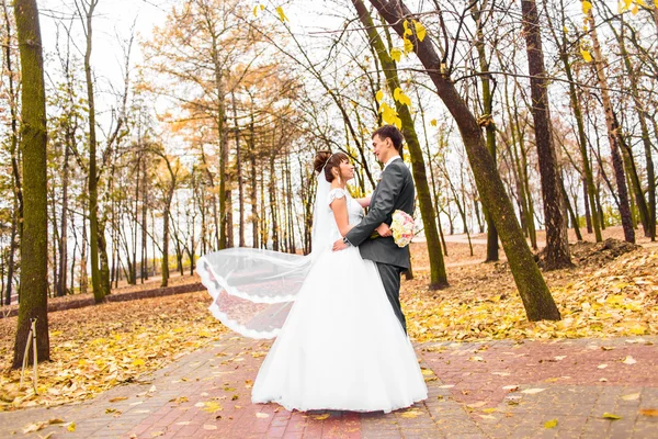 Bruden och brudgummen promenader i parken hösten — Stockfoto