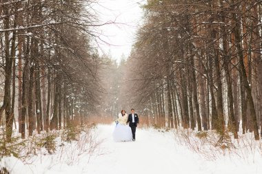 Gelin ve damat kış ormanda.