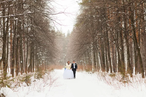 Bruid en bruidegom in de winter bos. — Stockfoto