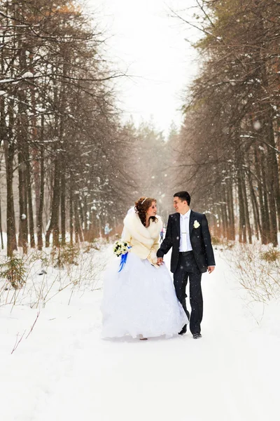 Noiva e noivo nas florestas de inverno . — Fotografia de Stock