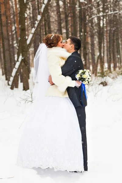 Noiva e noivo nas florestas de inverno . — Fotografia de Stock