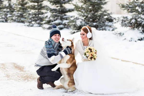 Ζευγάρι γάμο και ένα χαριτωμένο σκυλί το χειμώνα — Φωτογραφία Αρχείου