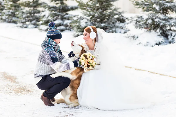 Panna młoda i pan młody z psem Husky w zimie — Zdjęcie stockowe