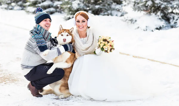 結婚式のカップルと冬時間でかわいい犬 — ストック写真