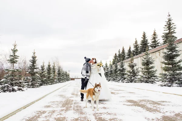 結婚式のカップルと冬時間でかわいい犬 — ストック写真