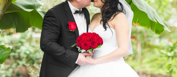 Bruid en bruidegom kussen op hun trouwdag buitenshuis — Stockfoto
