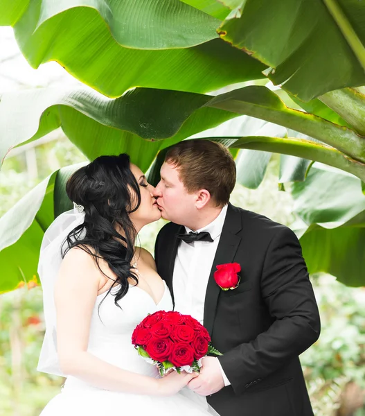 Brudparet kysser på deras bröllopsdag utomhus — Stockfoto