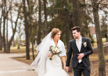 Gelin ve damat sonbahar ya da kış park yürüyüş