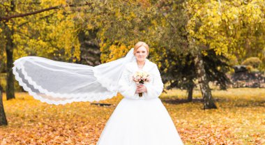 Sonbahar doğası üzerine gelin