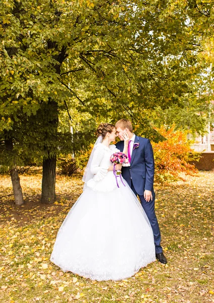 Groom and Bride in autumn park. — Stock Photo, Image