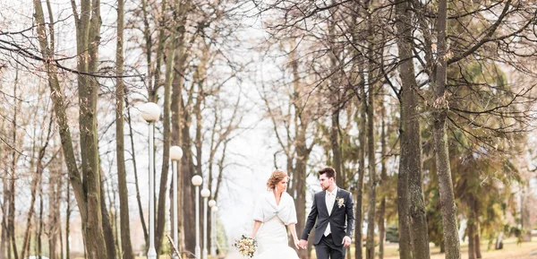 Bruden och brudgummen promenader i höst eller vinter park — Stockfoto