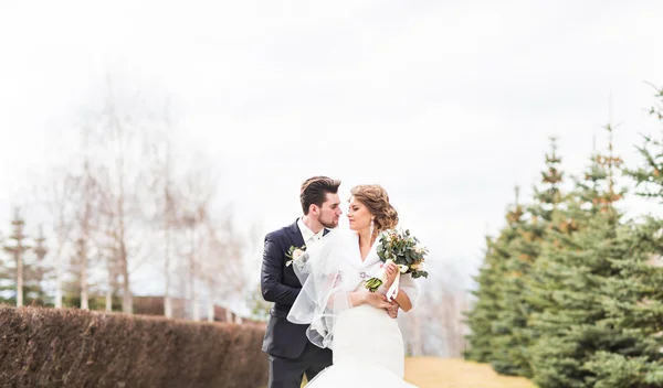 Noiva e noivo caminhando no outono ou parque de inverno — Fotografia de Stock