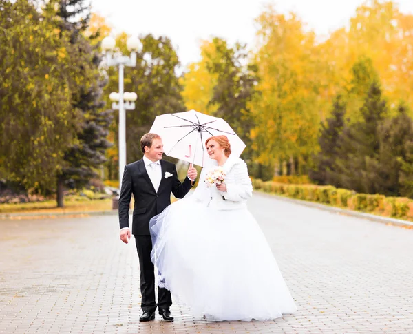 Braut und Bräutigam spazieren im Herbstpark — Stockfoto