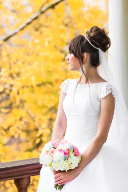 Sonbahar doğası üzerine gelin